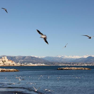 Antibes en décembre 2011 - 60D