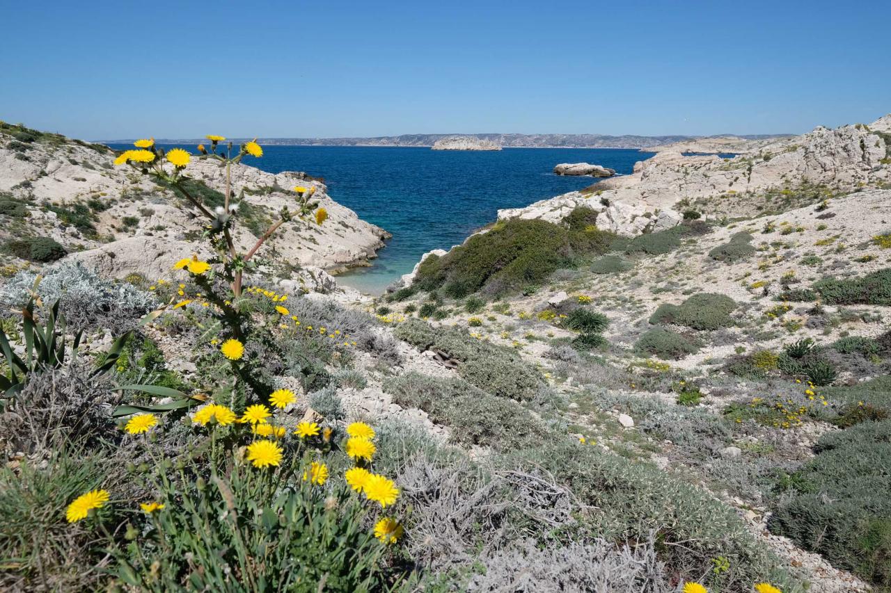 Les îles du Frioul, face à Marseille