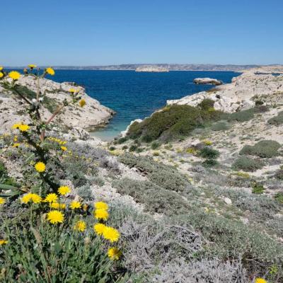 Les îles du Frioul, face à Marseille