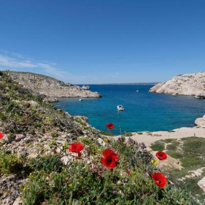 Les îles du Frioul, face à Marseille