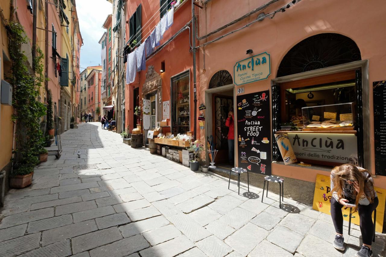 et les petites ruelles de Portovénère sont aussi pittoresques