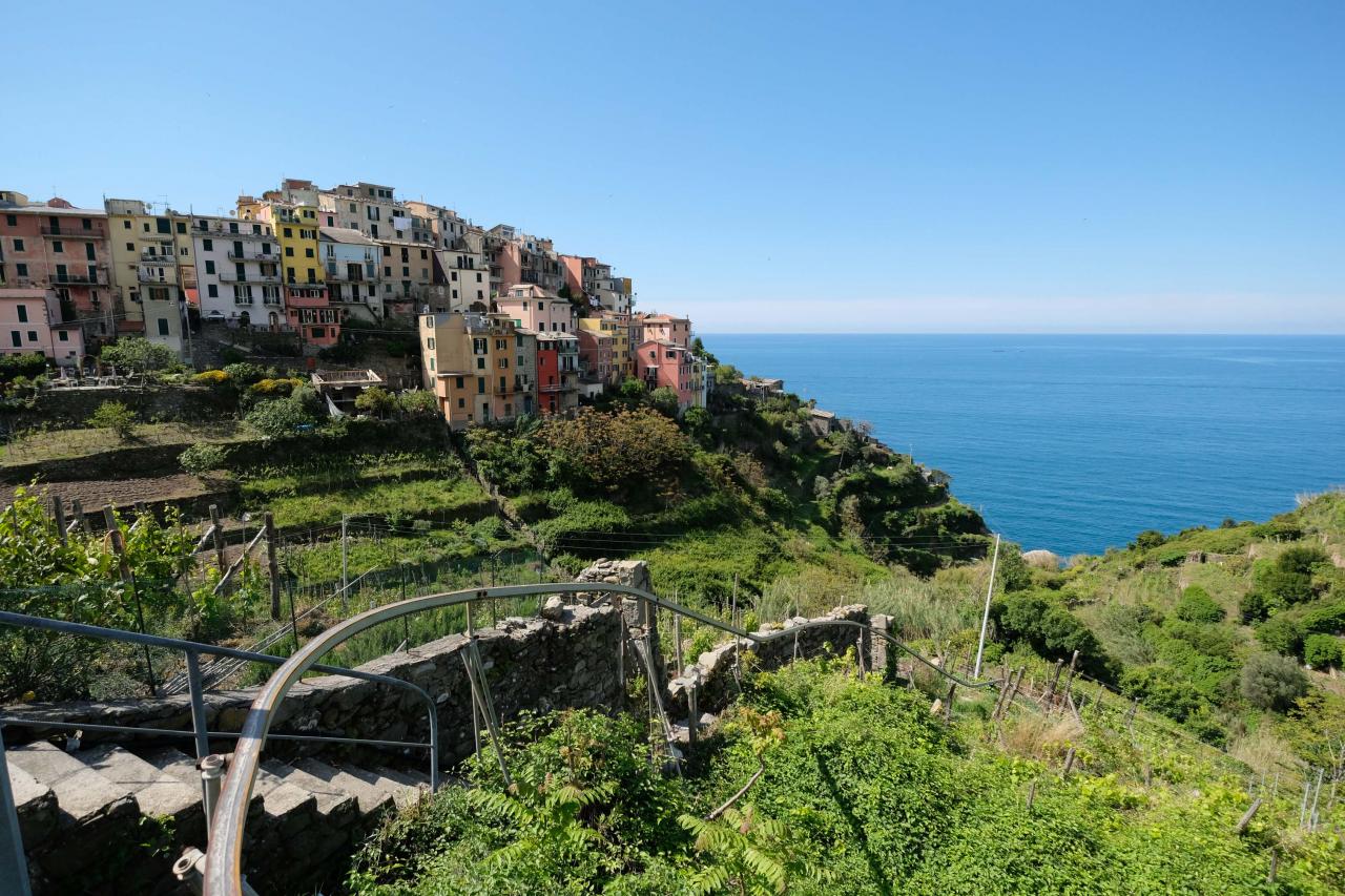 Bali à ses rizières en terrasses les 5 Terres ont les vignes en terrasses