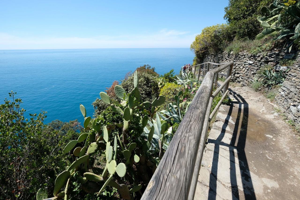 beau panorama sur la Riviera des Cinque Terre