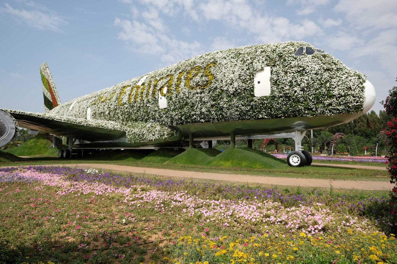 Miracle garden, le plus grand jardin du monde dans le désert