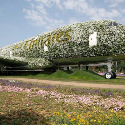 Miracle garden, le plus grand jardin du monde dans le désert