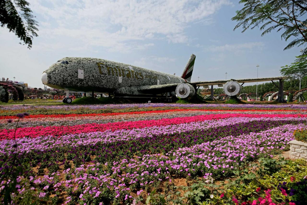 Miracle garden, le plus grand jardin du monde dans le désert