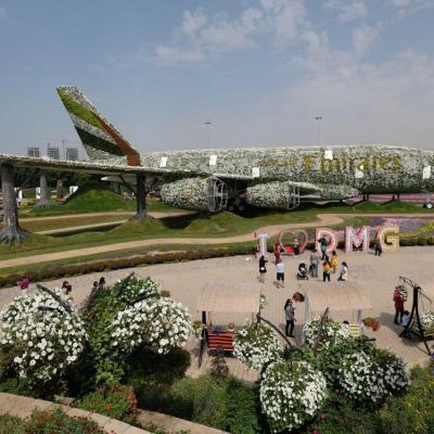 Miracle garden, le plus grand jardin du monde dans le désert