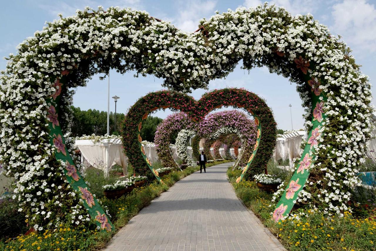 Miracle garden, le plus grand jardin du monde dans le désert