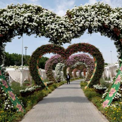 Miracle garden, le plus grand jardin du monde dans le désert