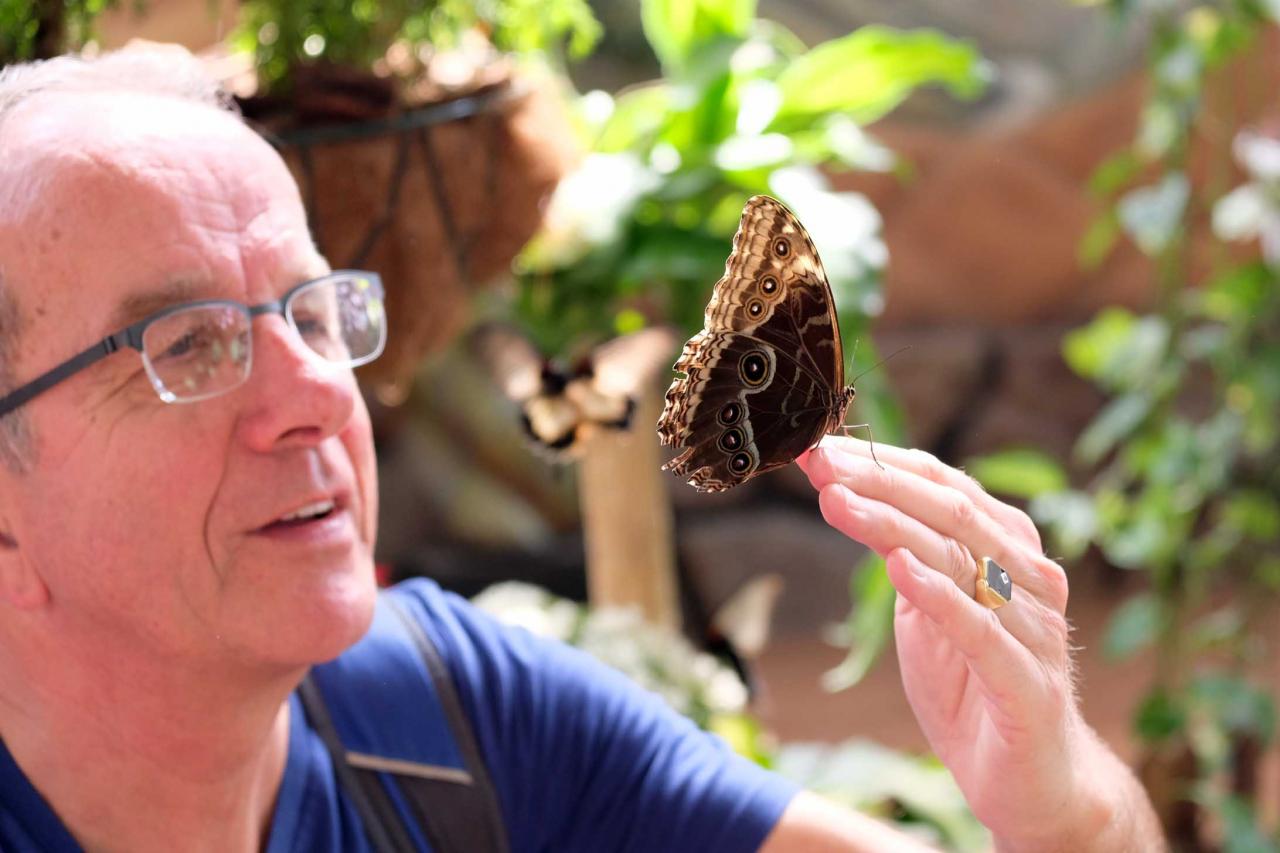 jardin de papillons sous 9 dômes où les papillons volent librement