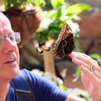 jardin de papillons sous 9 dômes où les papillons volent librement