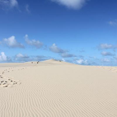 La dune du Pilat et le Cap Ferret