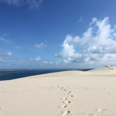 La dune du Pilat et le Cap Ferret