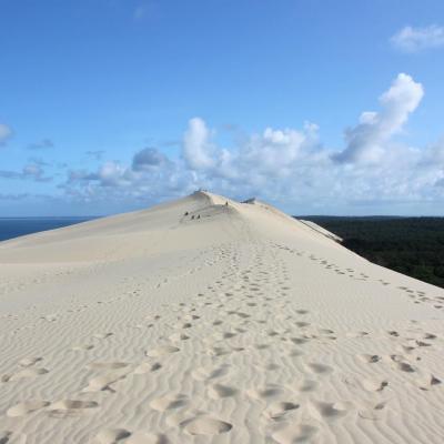 La Dune du Pilat 