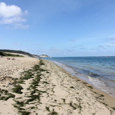 La Dune du Pilat 