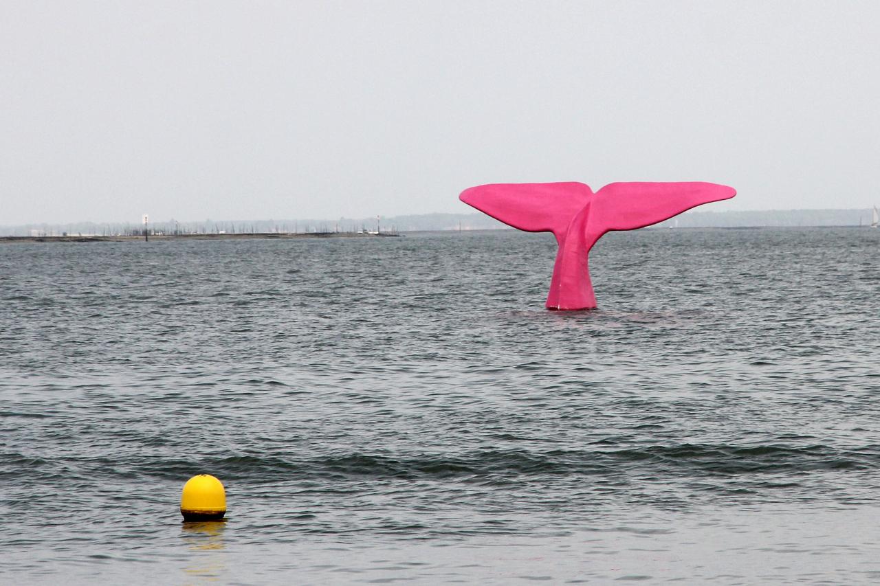 Elle flotte à 300 m du rivage et change de couleur tous les ans (2012)
