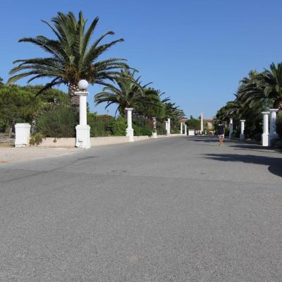 L'île a été façonnée par Paul Ricard