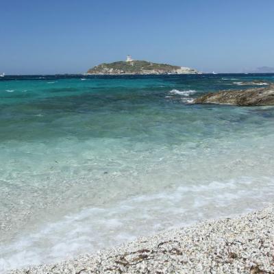 L'île du Grand Rouveau acquise par le conservatoire du littoral