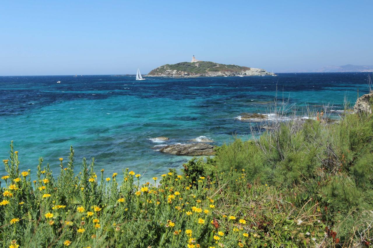 L'île du Grand Rouveau acquise par le conservatoire du littoral