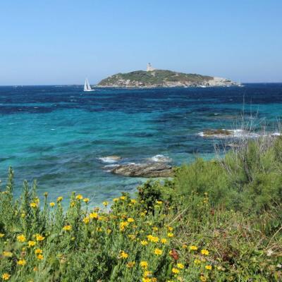 L'île du Grand Rouveau acquise par le conservatoire du littoral