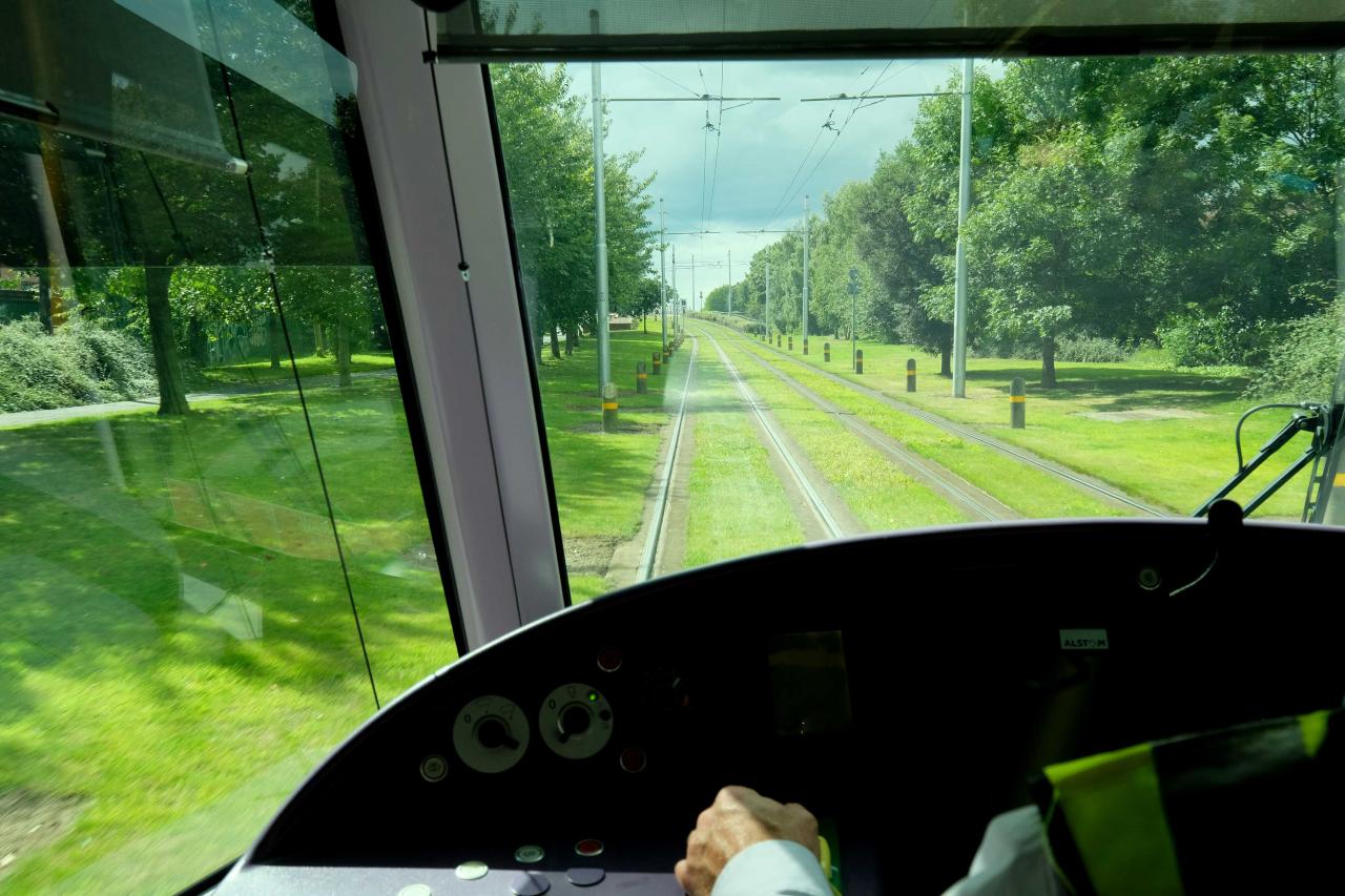 même autour du tram c'est bien vert !!