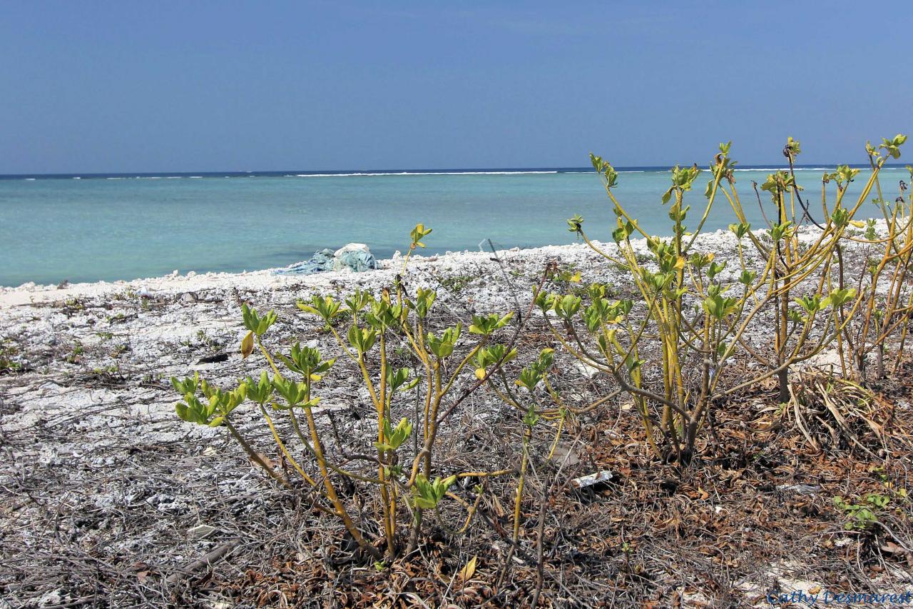 eau turquoise à 30° voire 32° ou plus et Gili Méno en face de nous