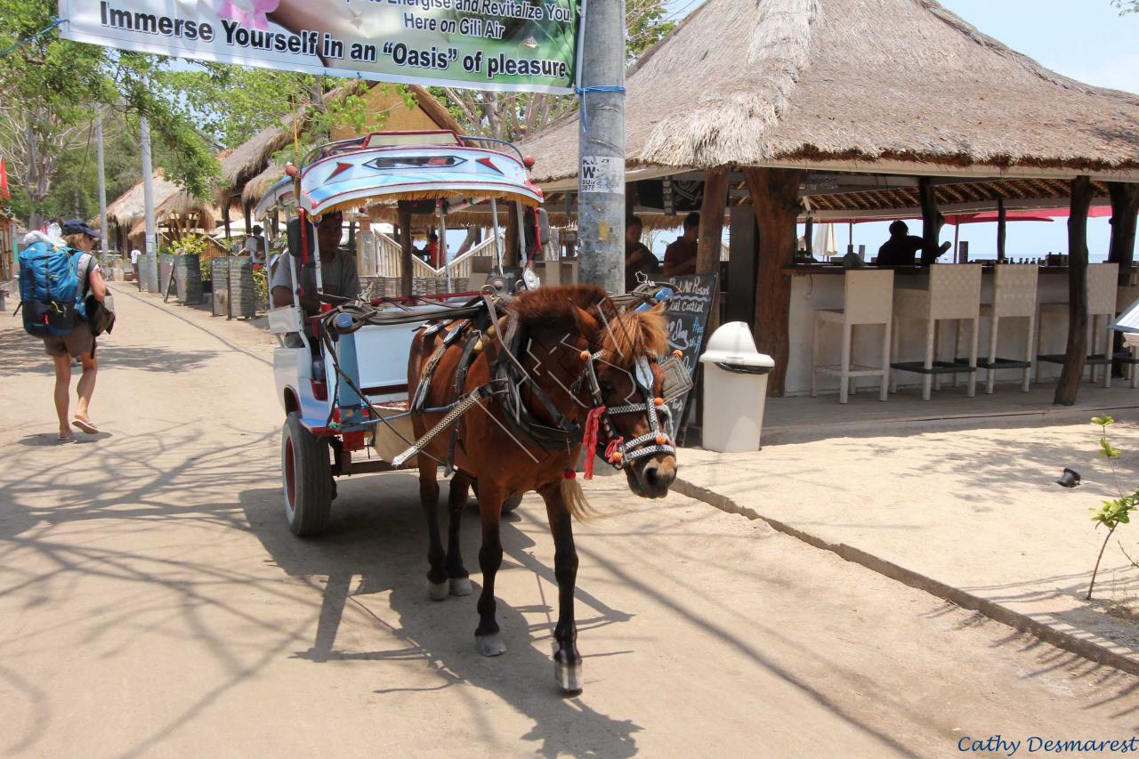 les transports sur Gili Air