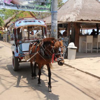 les transports sur Gili Air