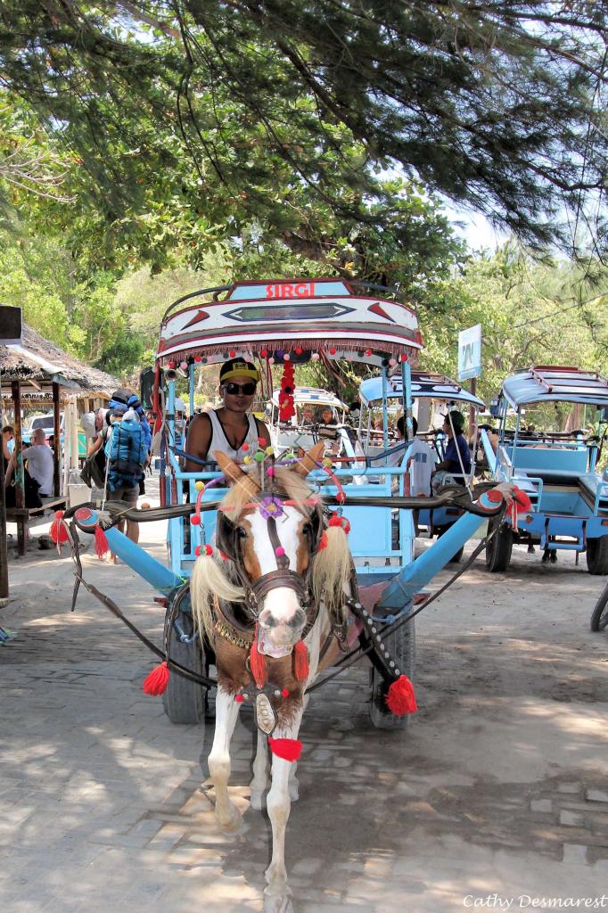 Pas de voiture sur Gili Air