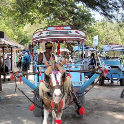 Pas de voiture sur Gili Air