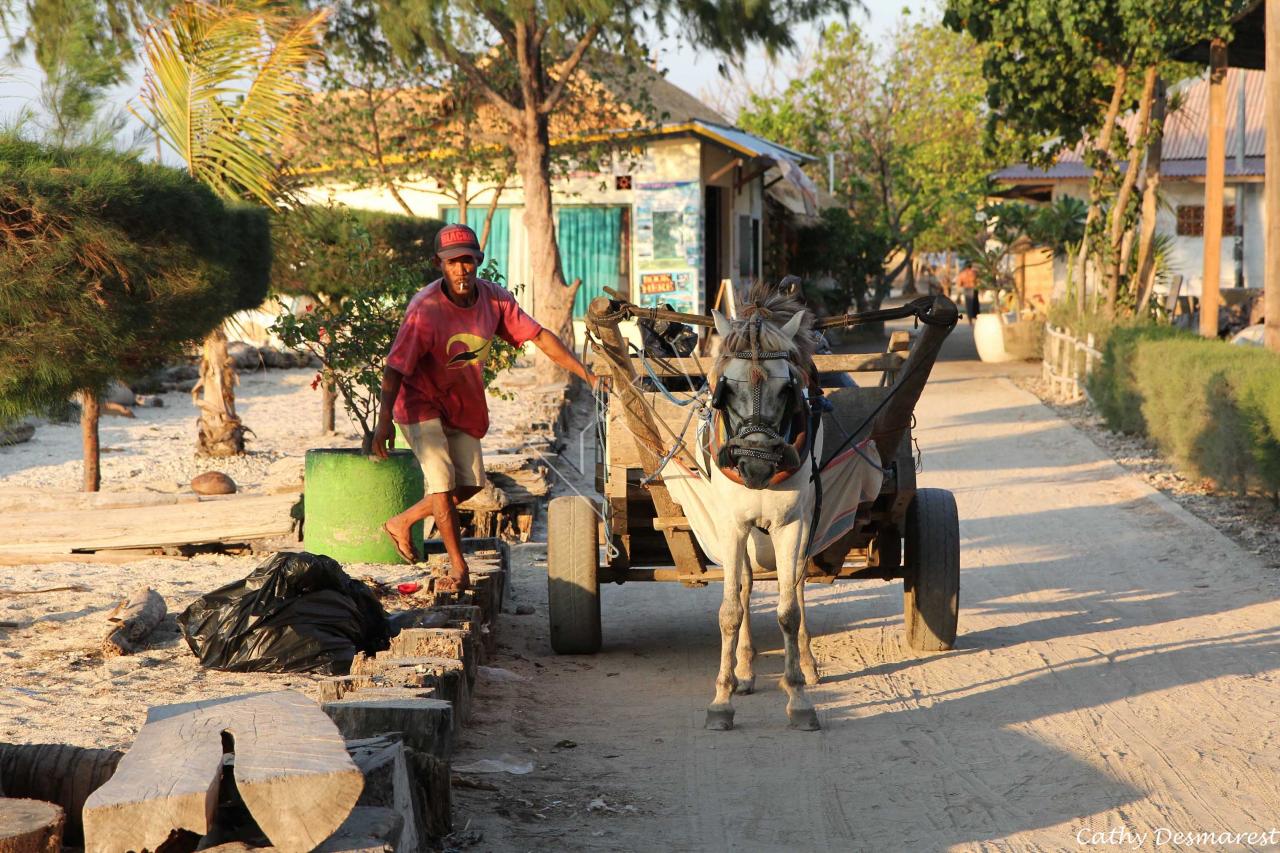 Gili Air (63)_GF