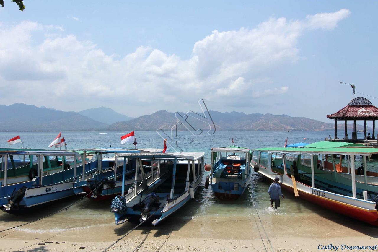 face à Lombok, paysages magnifiques