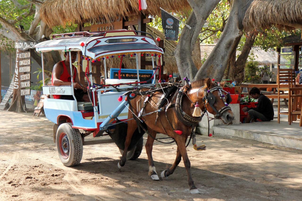 seul moyen de transport de type “taxi” que nous trouvons sur l'île.