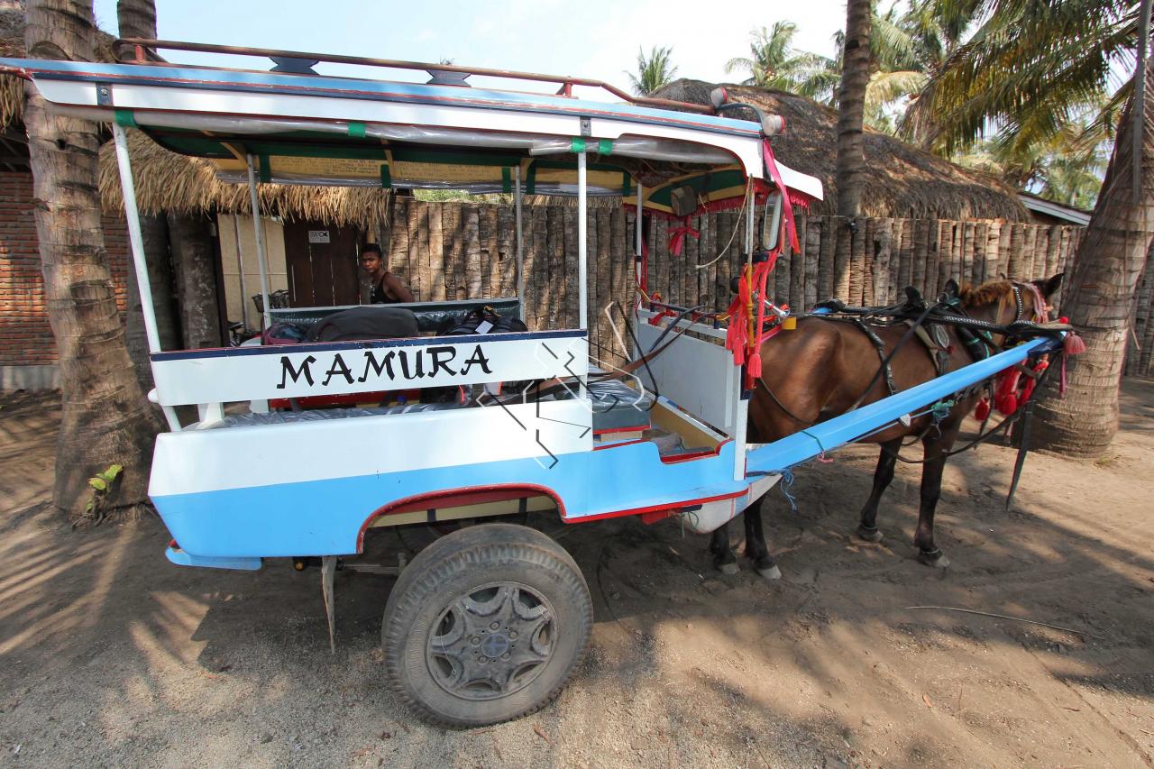 Voici mon taxi pour retourner au port prendre le bateau pour Bali