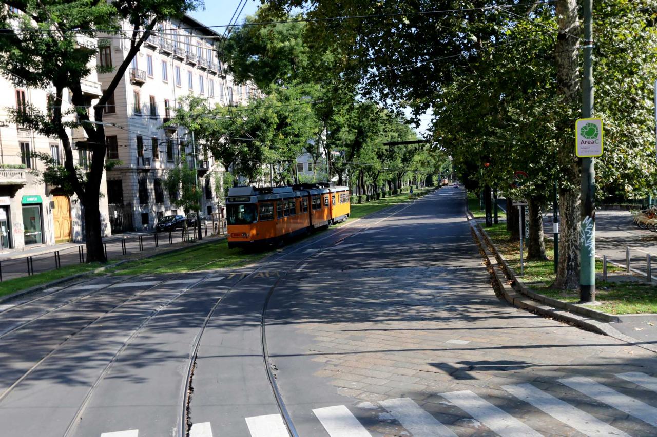 verdure bienvenue pour cacher les cables du tram