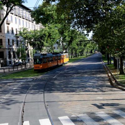 verdure bienvenue pour cacher les cables du tram