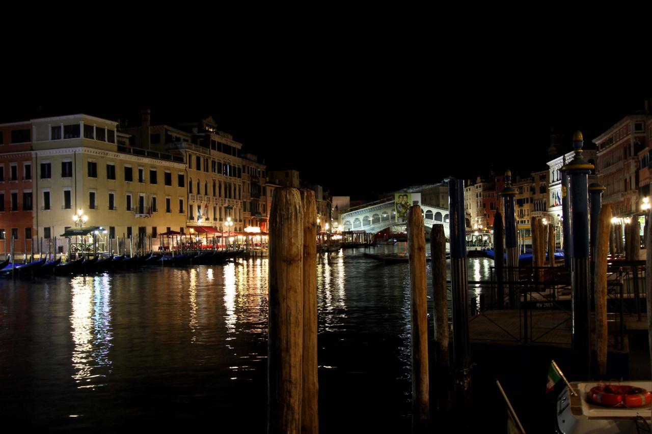 Le grand canal et ses palais et palaces aux abords du Rialto