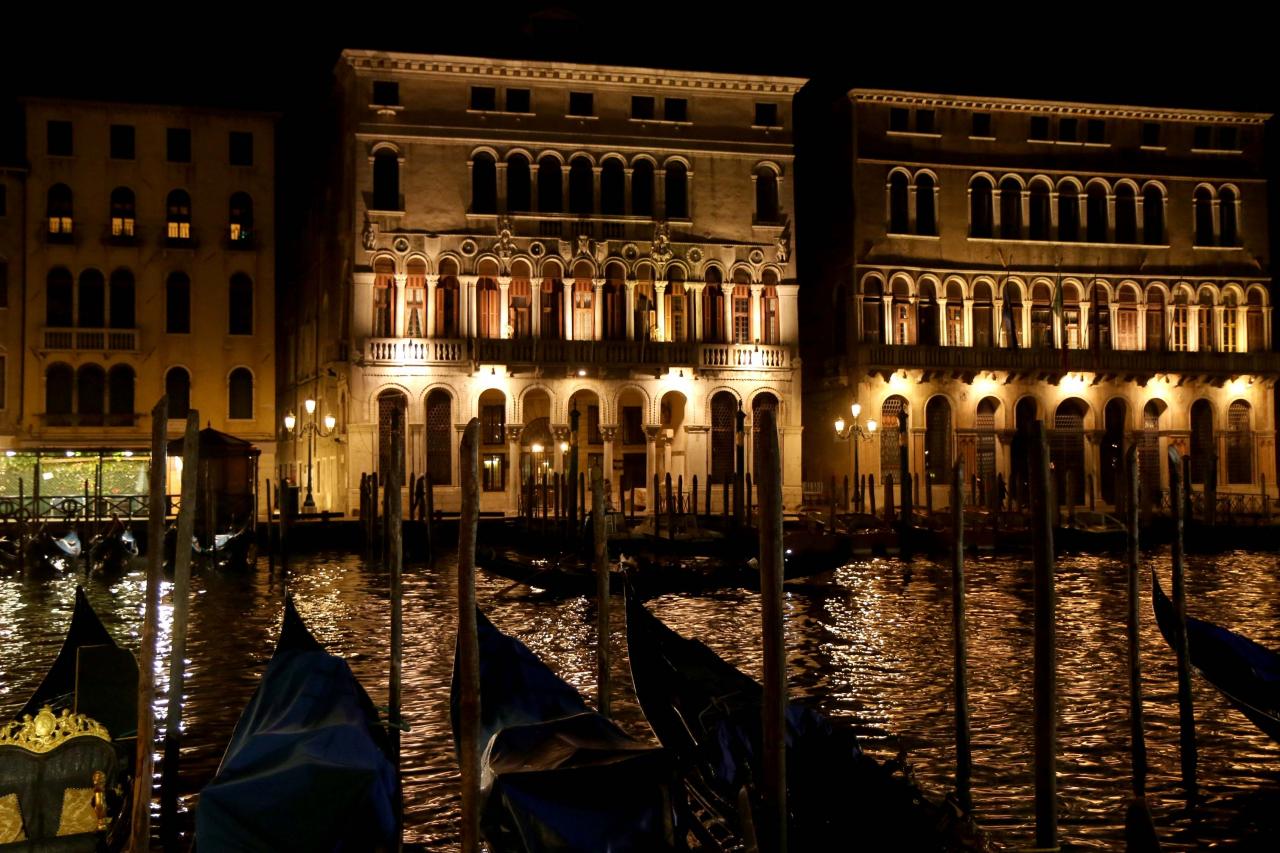 Le grand canal et ses palais et palaces aux abords du Rialto