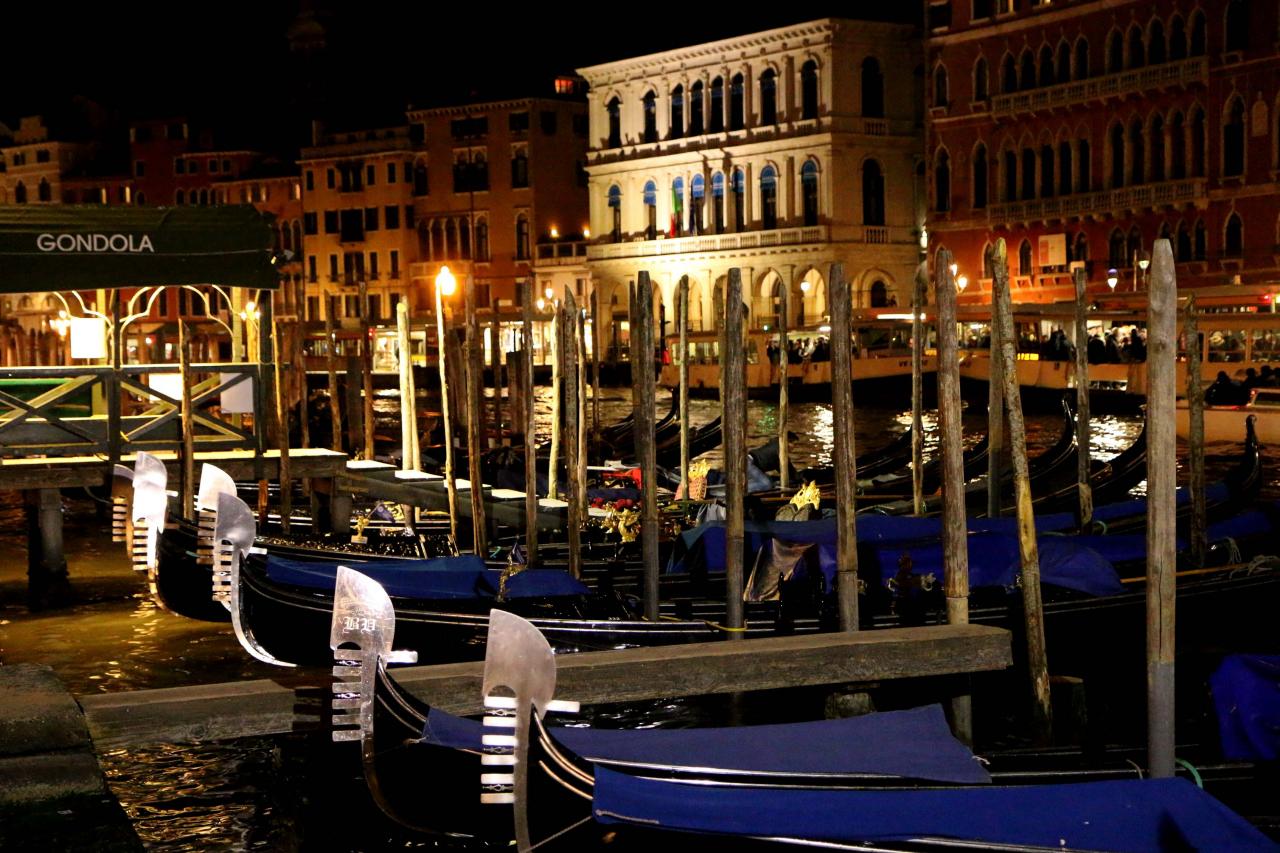 Le grand canal et ses palais et palaces aux abords du Rialto