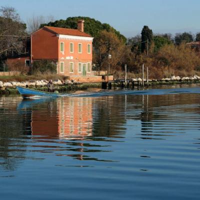 Entre Murano et Burano, il y a quelques petites îles