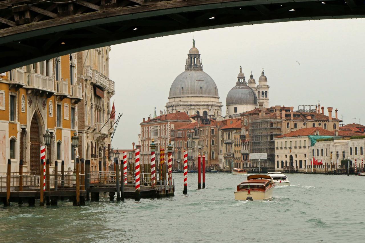 Droit devant, l'église Santa Maria della Salute et ses dômes.