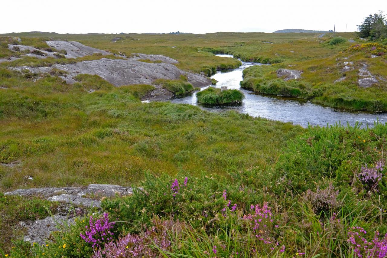 paysage de la Wild Atlantic Way, route côtière balisée la plus longue au monde