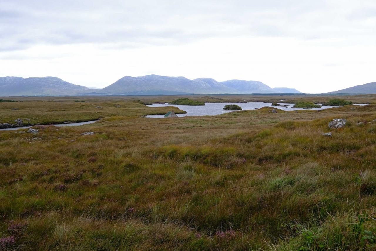 on s'éloigne du Connemara pour rejoindre Galway