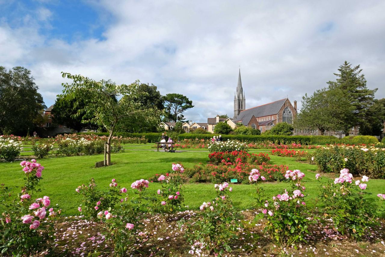 le Festival International de la Rose de Tralee se prépare ici