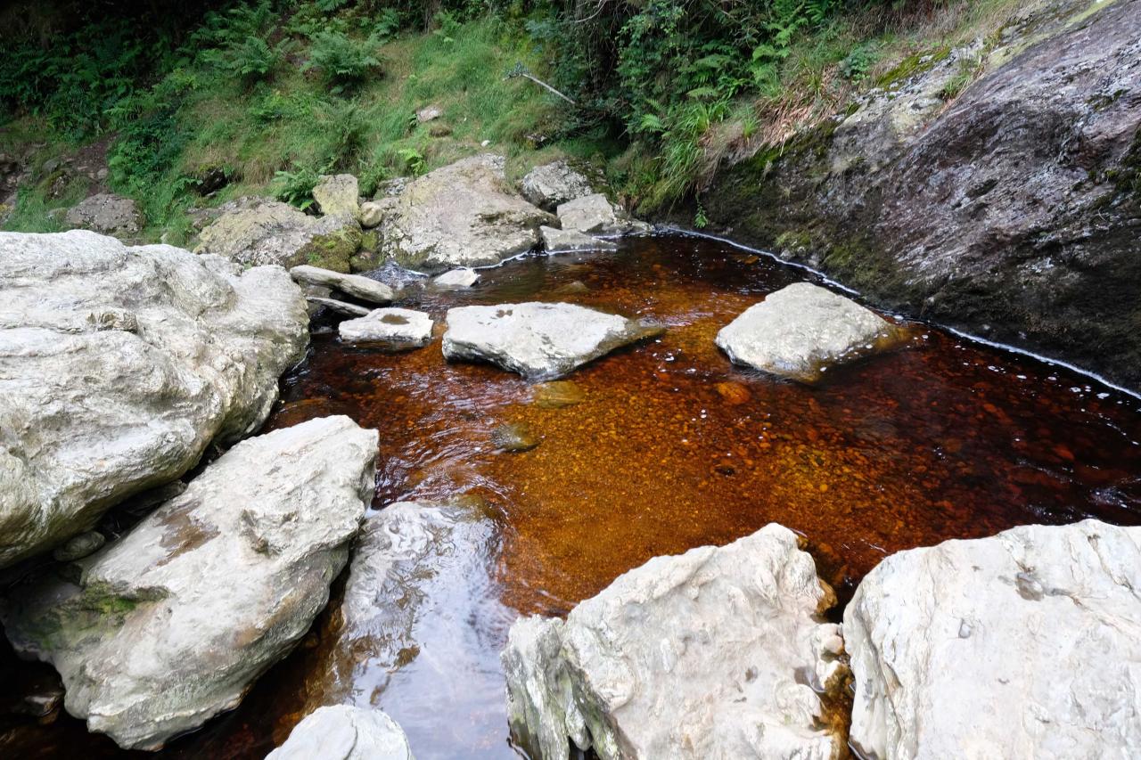 couleur marron de l'eau étonnante 