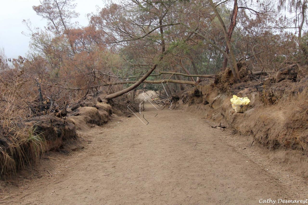 Kawah ijen 382_GF