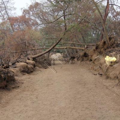 Kawah ijen 382_GF