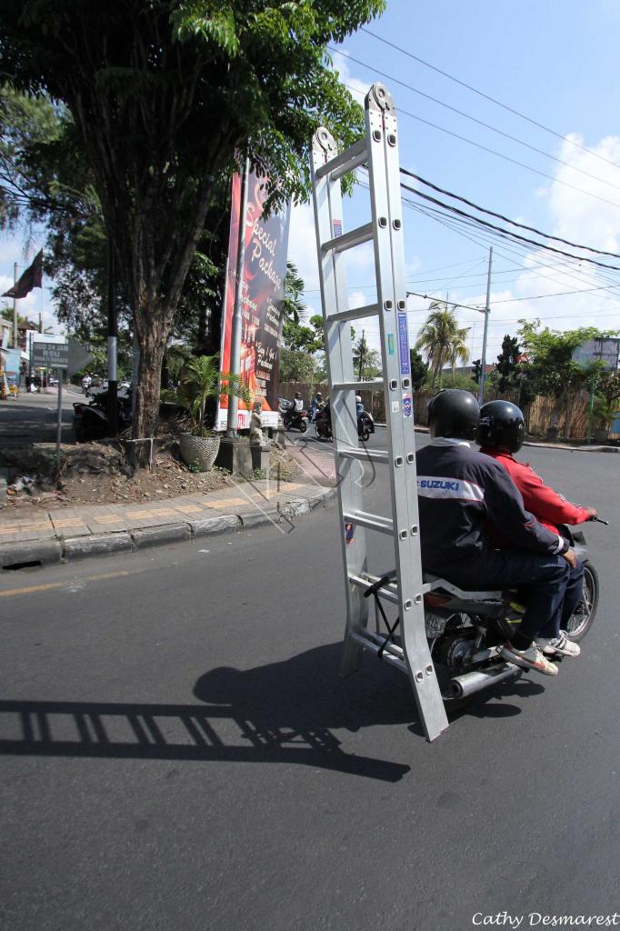 On voit de tout sur les deux roues !