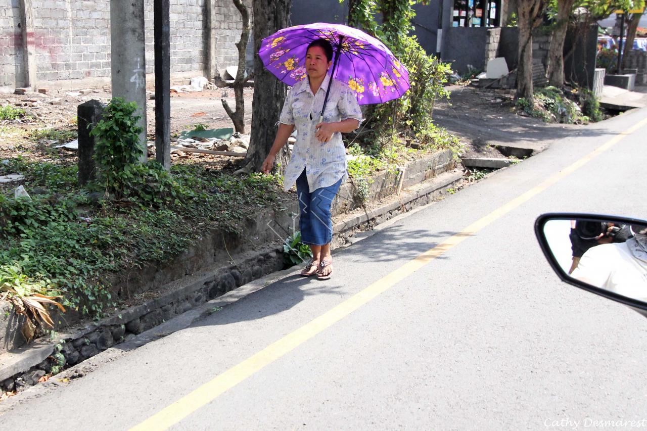 Parapluie ou ombrelle ?