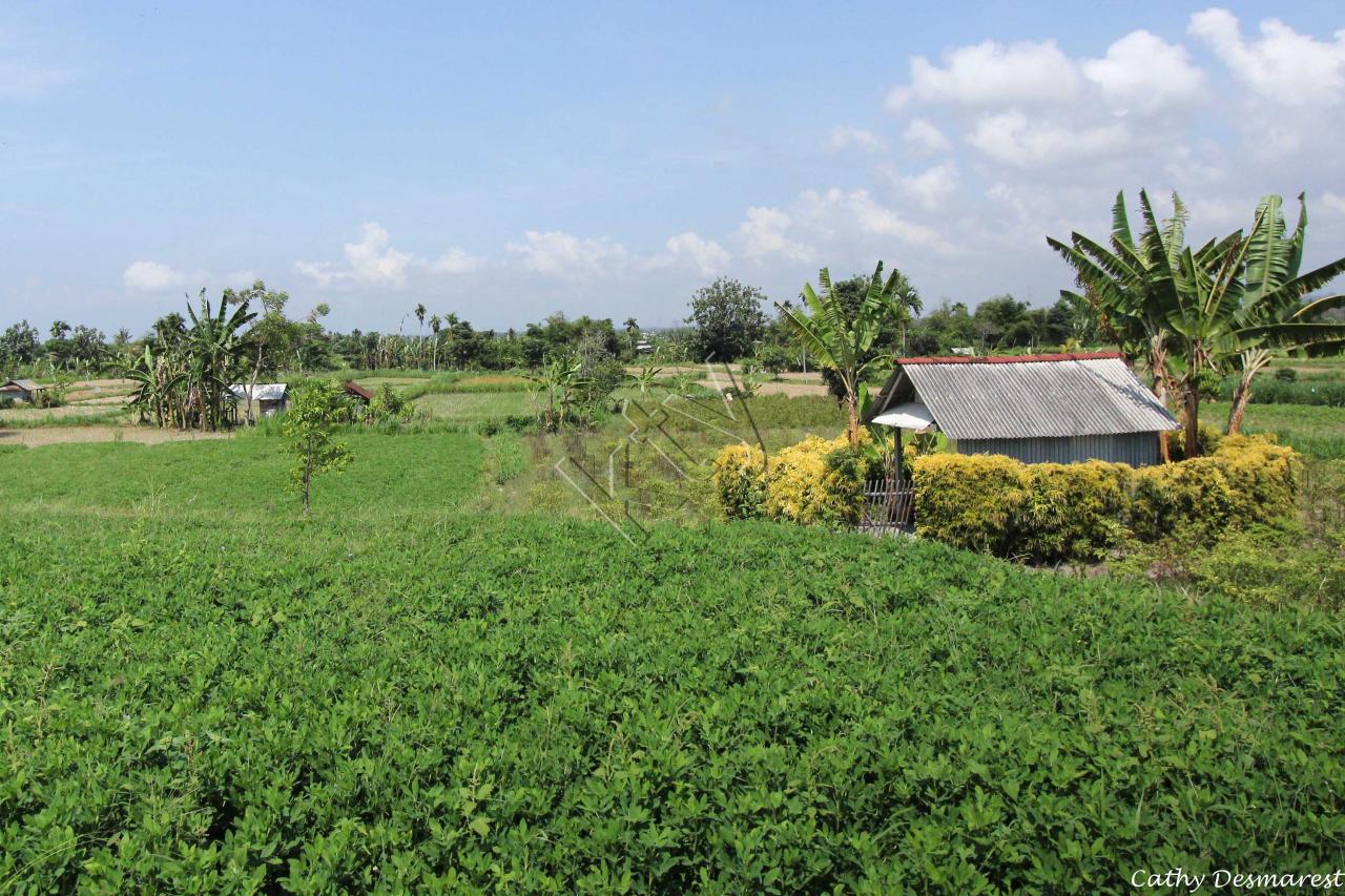 La campagne non loin du centre de Bali